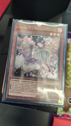 Ash blossom joyous spring - ash,
