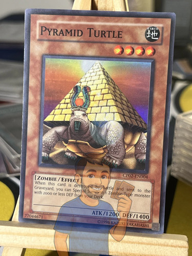 Pyramid turtle cp02 en004 - turtle, cp02-en004